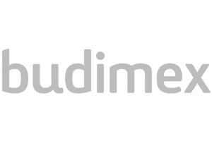 logo budimex